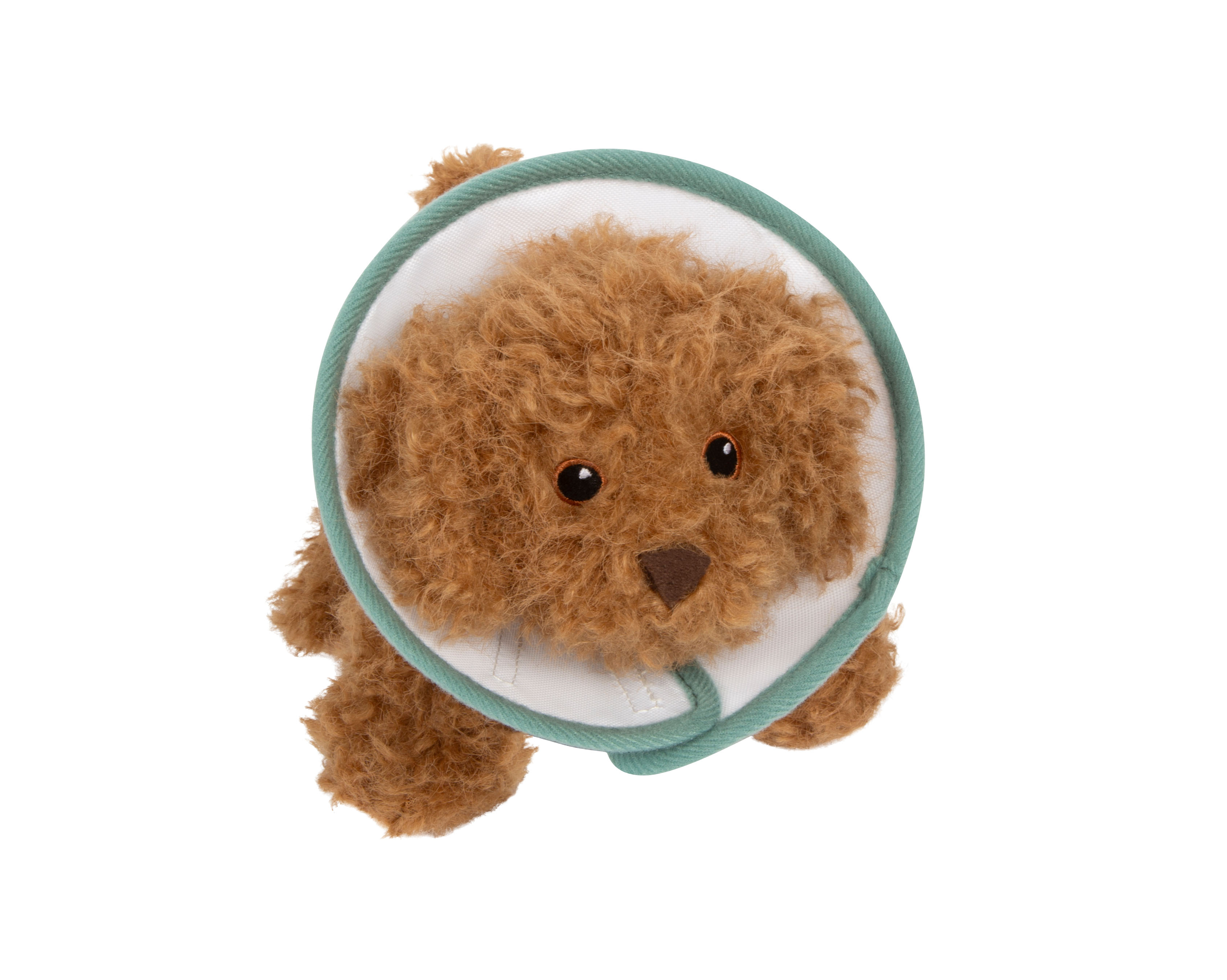 Tierarzt-Tasche mit Hund und Halskrause umgelegt