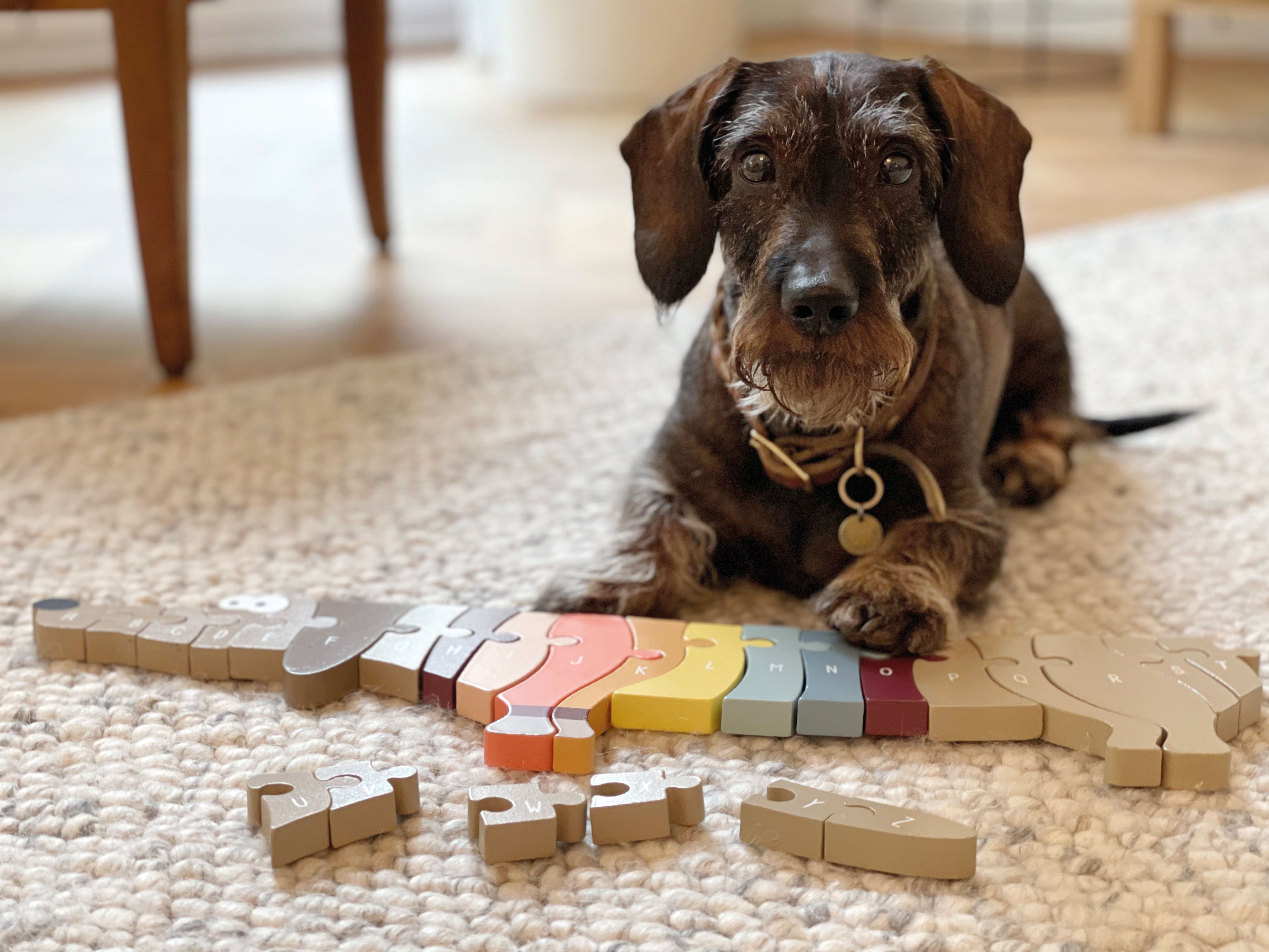 Buchstabenpuzzle Hund für Kinder