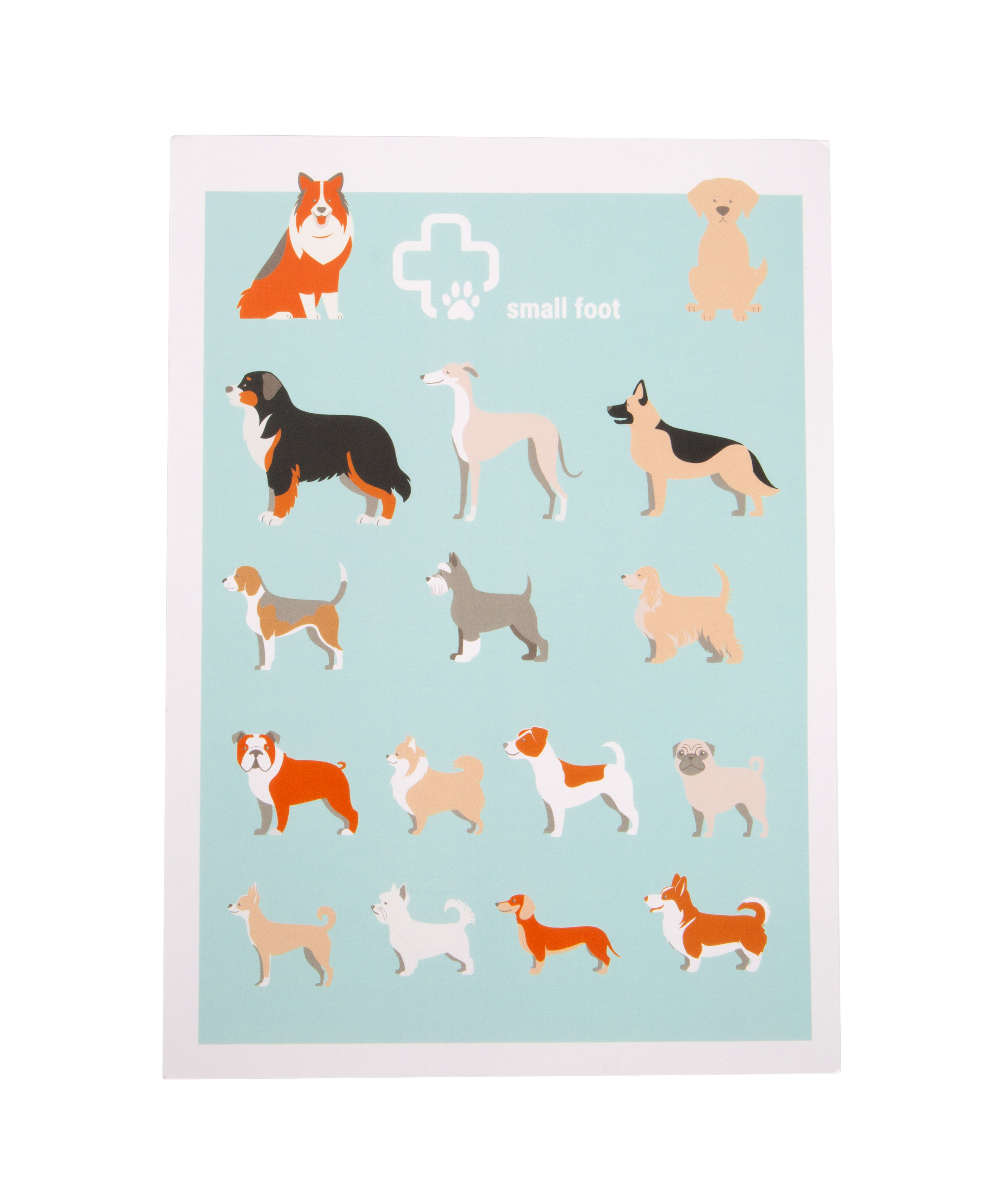 Tierarzt-Tasche mit Hund und Poster mit Hundemotiven