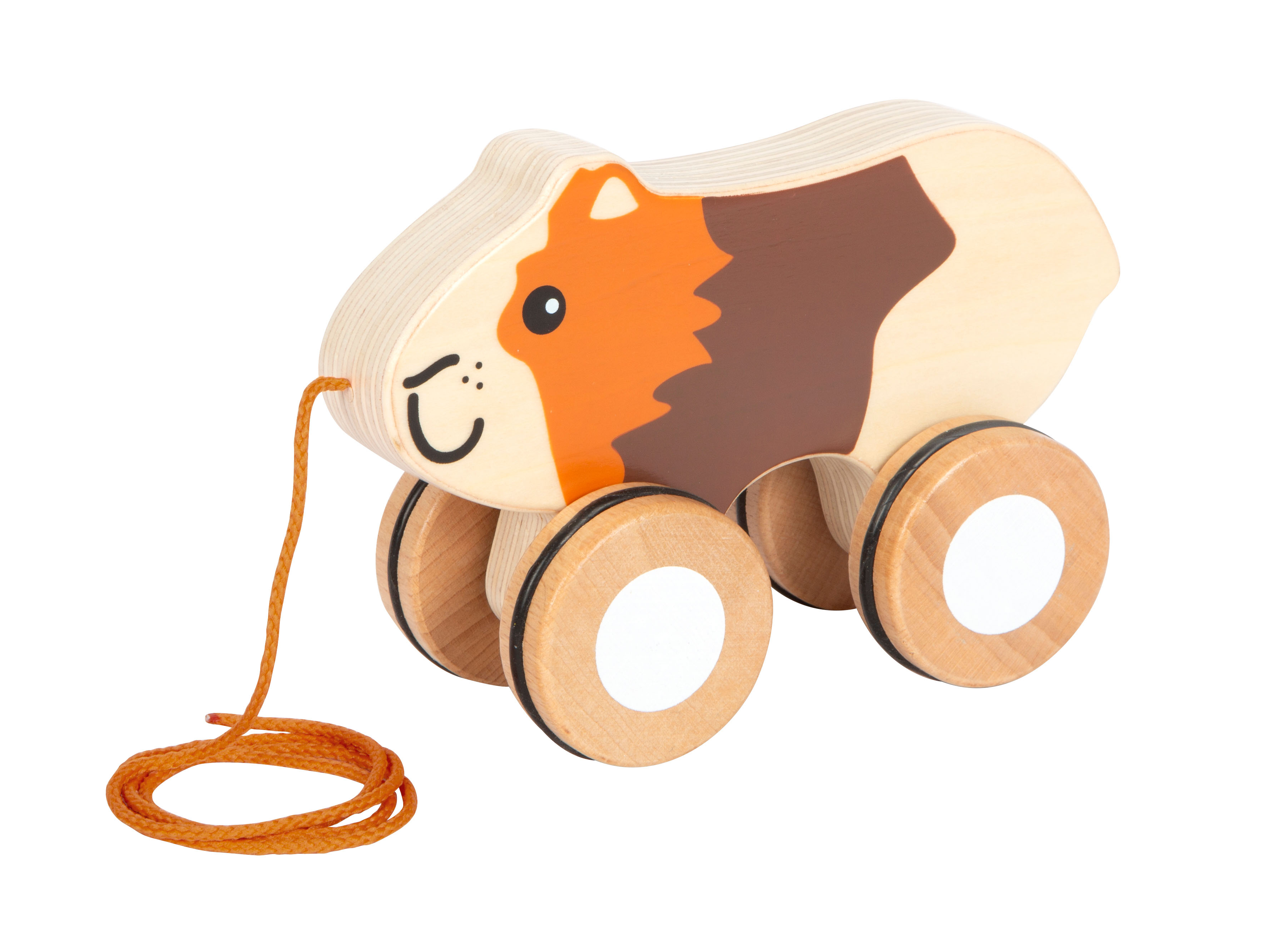 Nachziehtier Meerschweinchen Kopf schräg links vorne