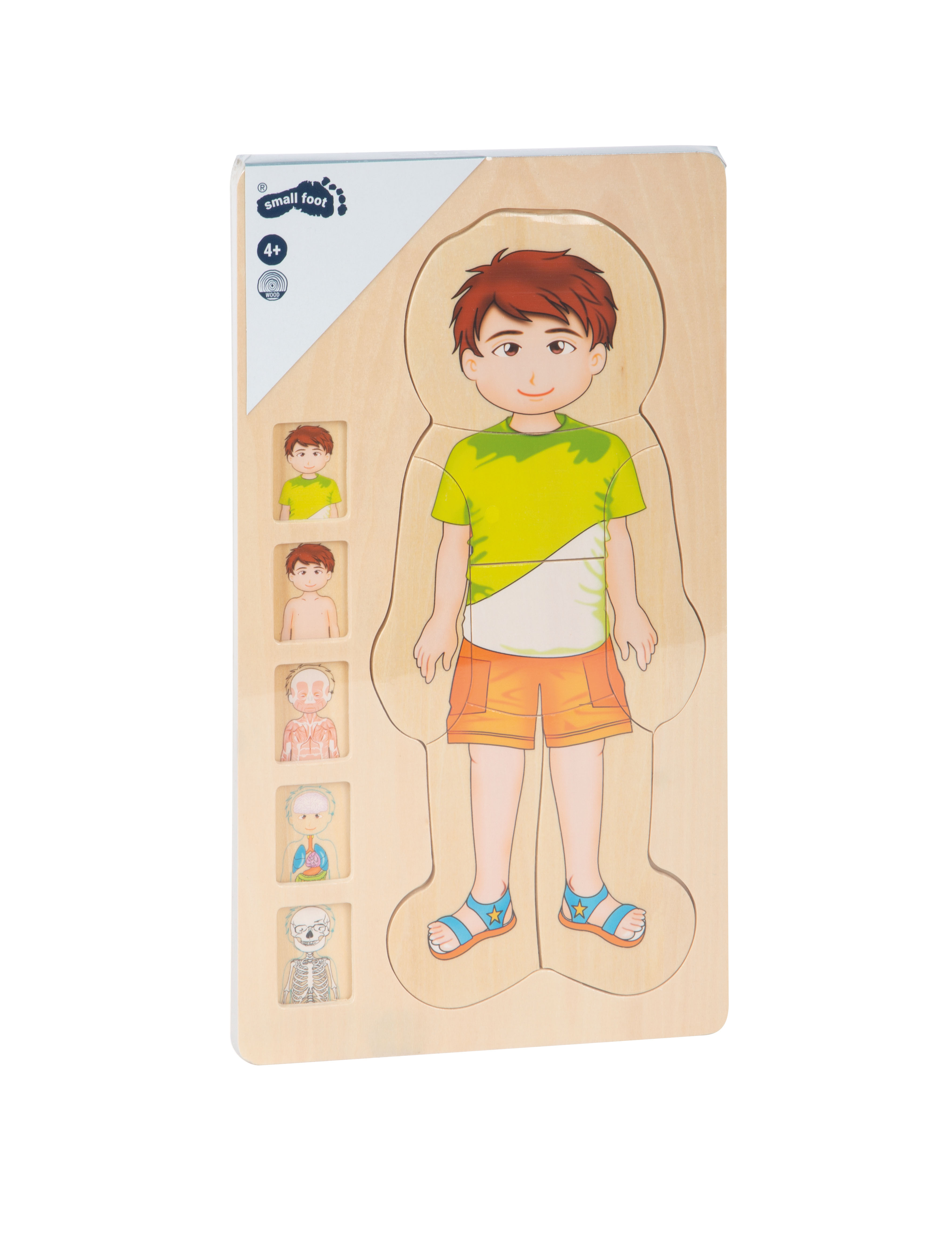 Schichtenpuzzle Anatomie Junge für Kinder