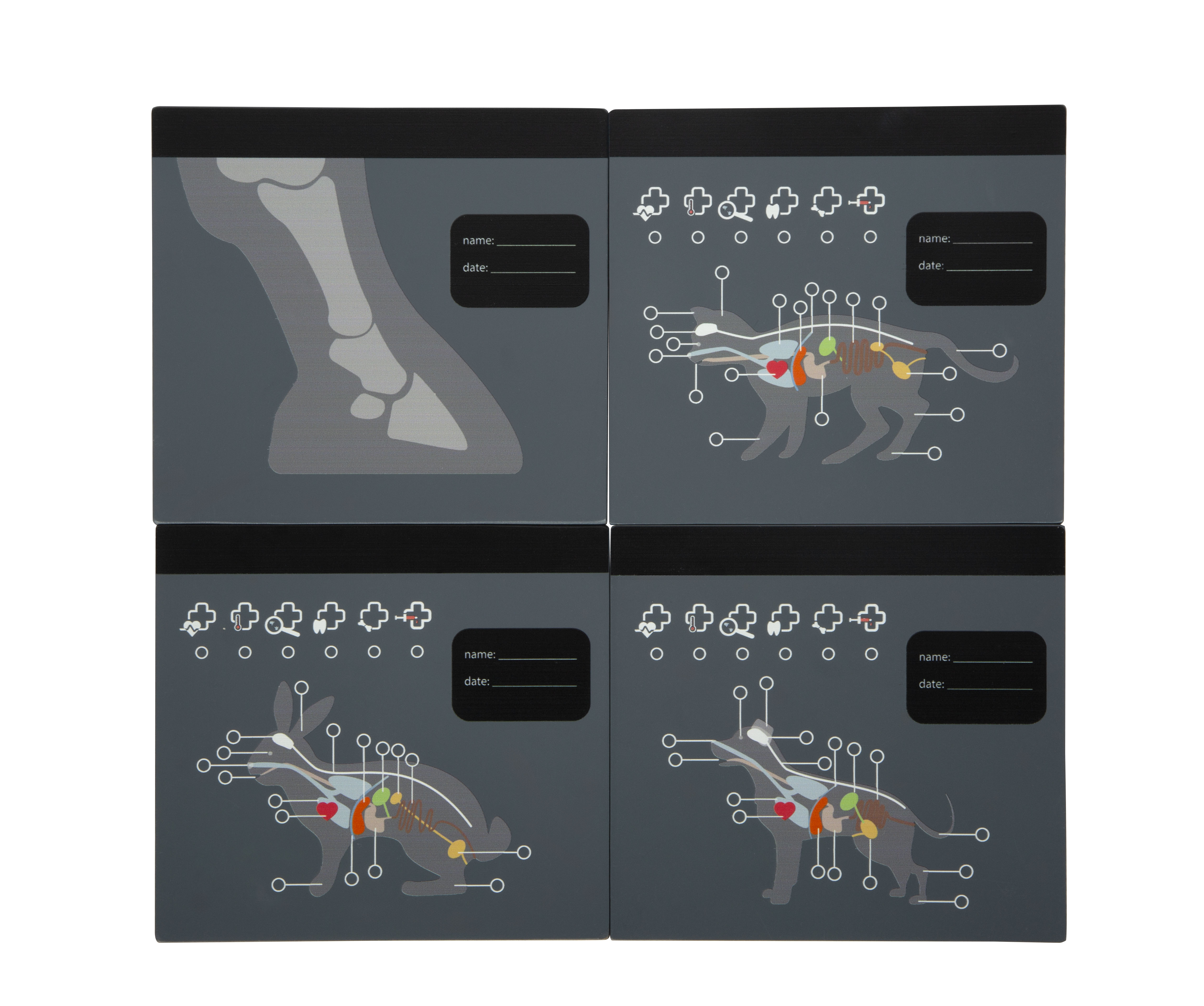 Röntgen-Checkup Karte, wandbar