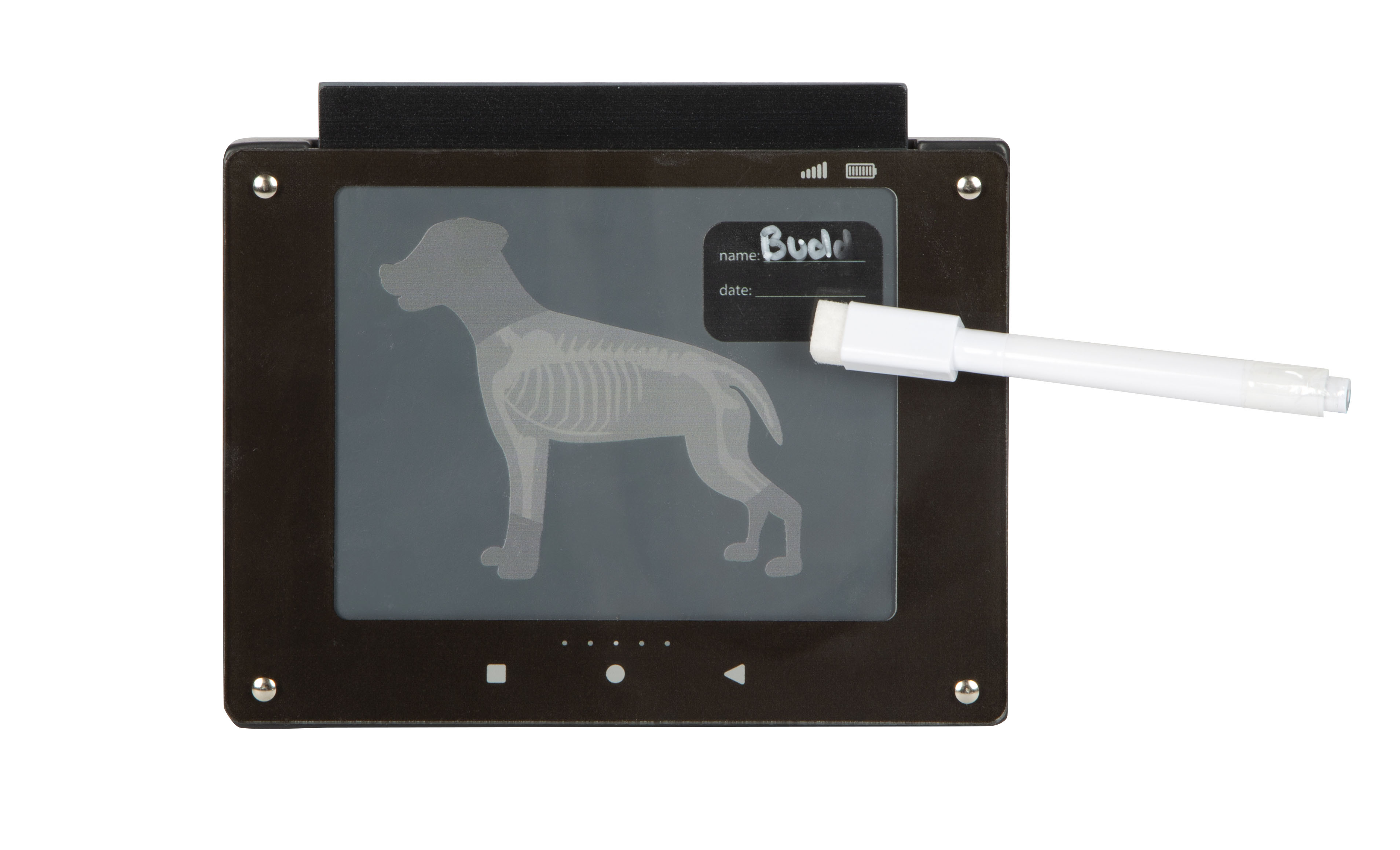 Röntgenbild Hund auf Tablet abwischbar
