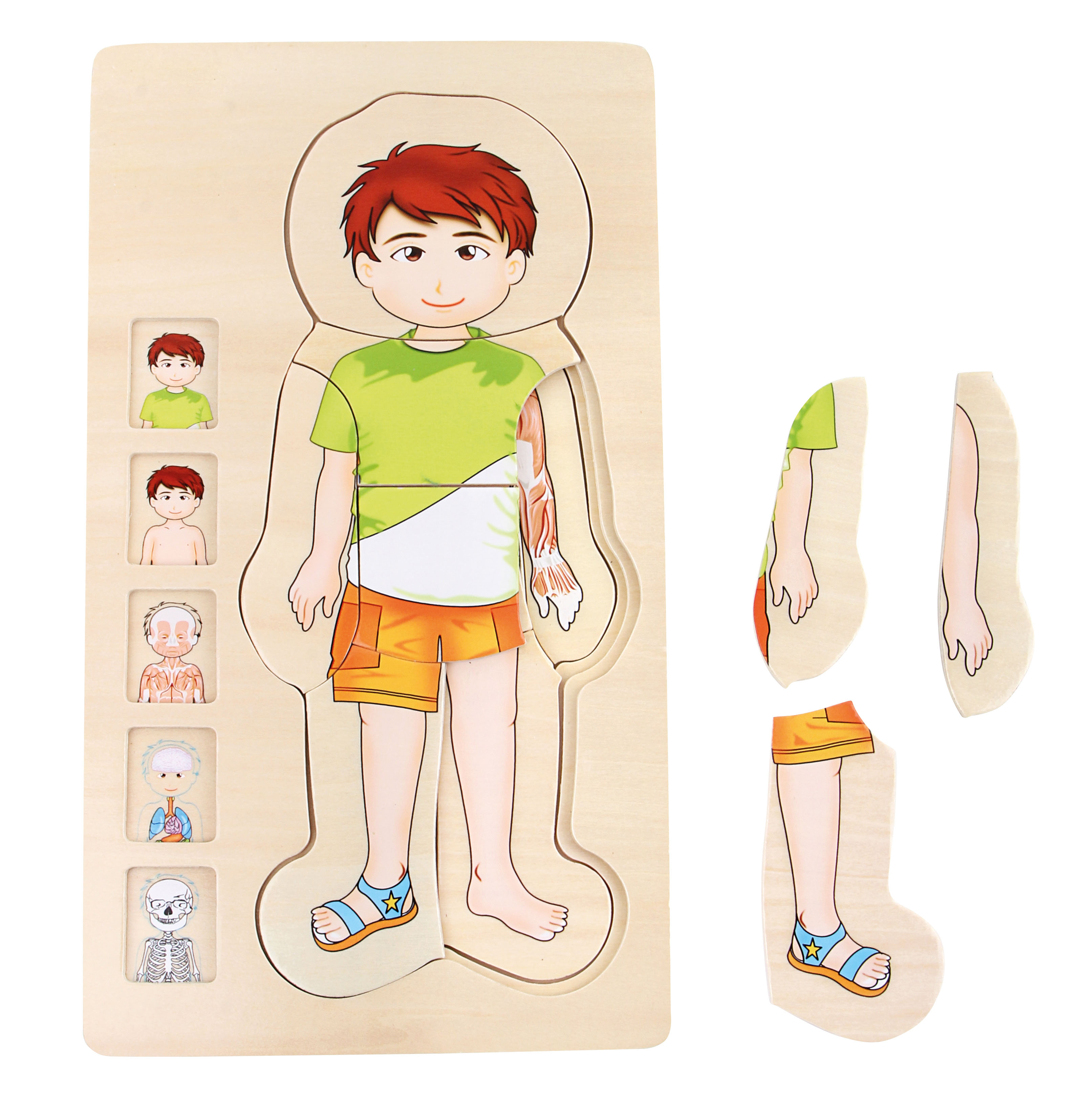 Schichtenpuzzle Anatomie Junge für Kinder