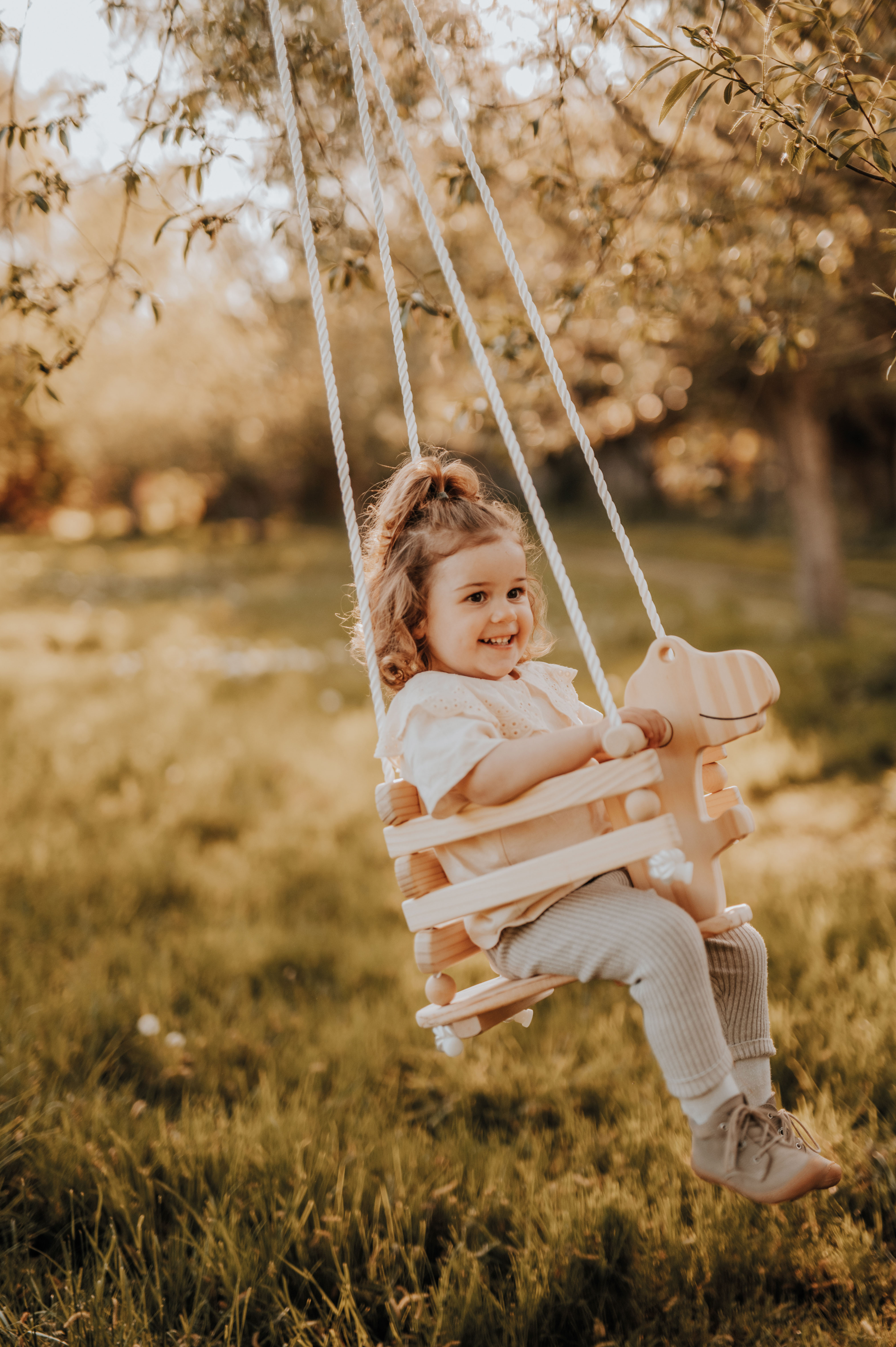 Kleinkindschaukel Dino für Kinder
