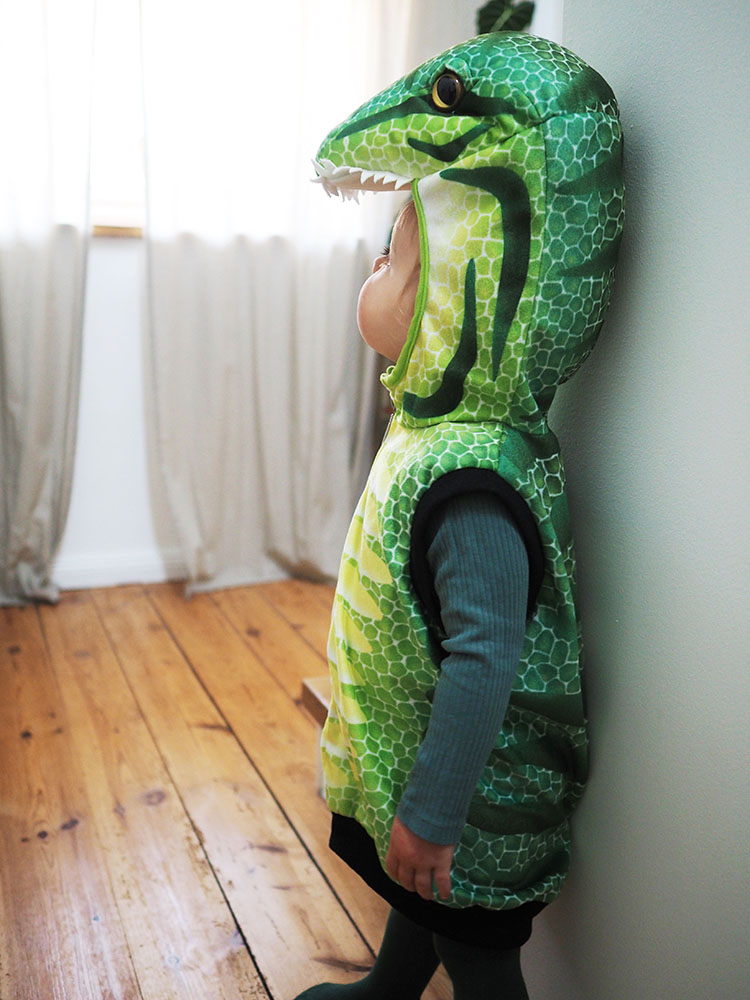 Kostüm Weste Dino Kinderbild