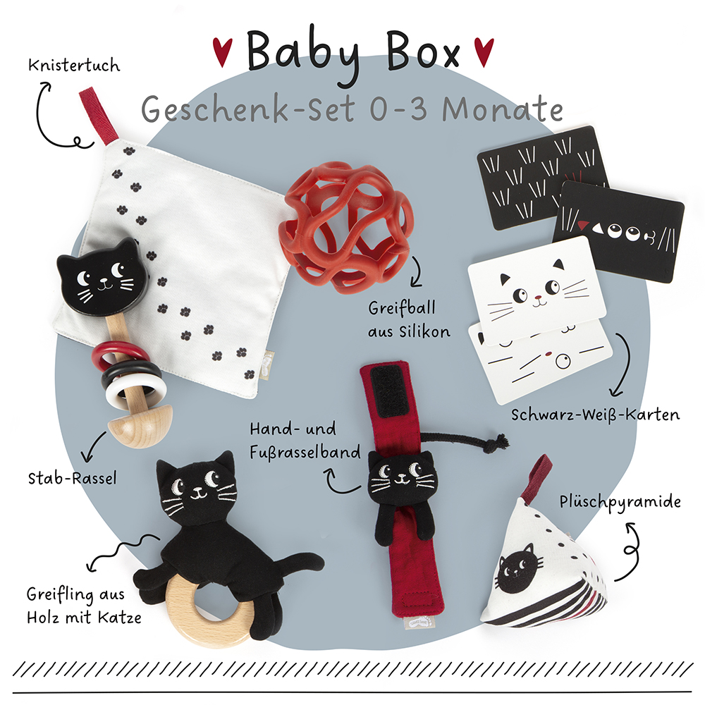 Baby-Box 0–3 Monate „Wahrnehmen & Ankommen“