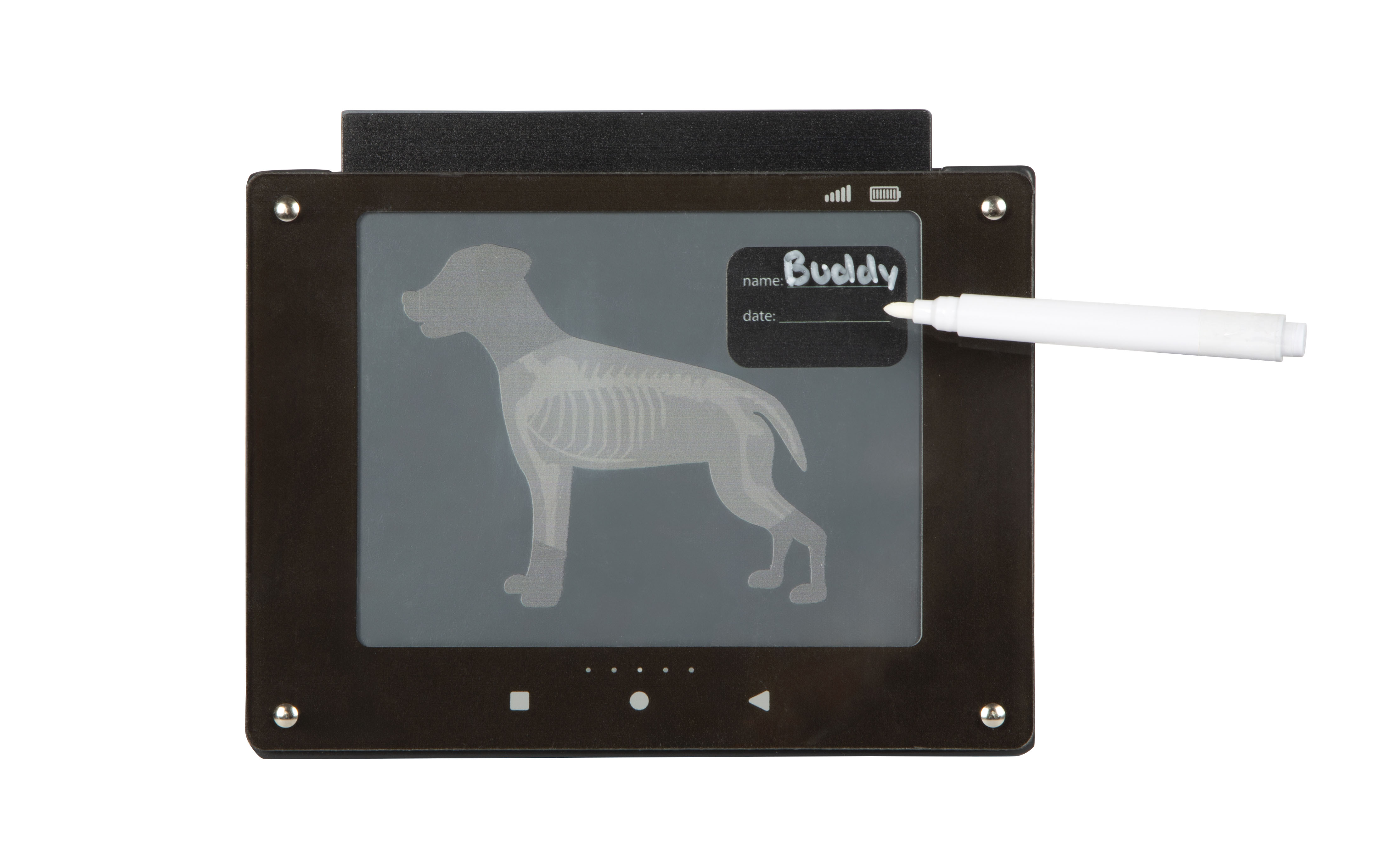 Hunde-Röntgenbild auf Tablet beschreibbar