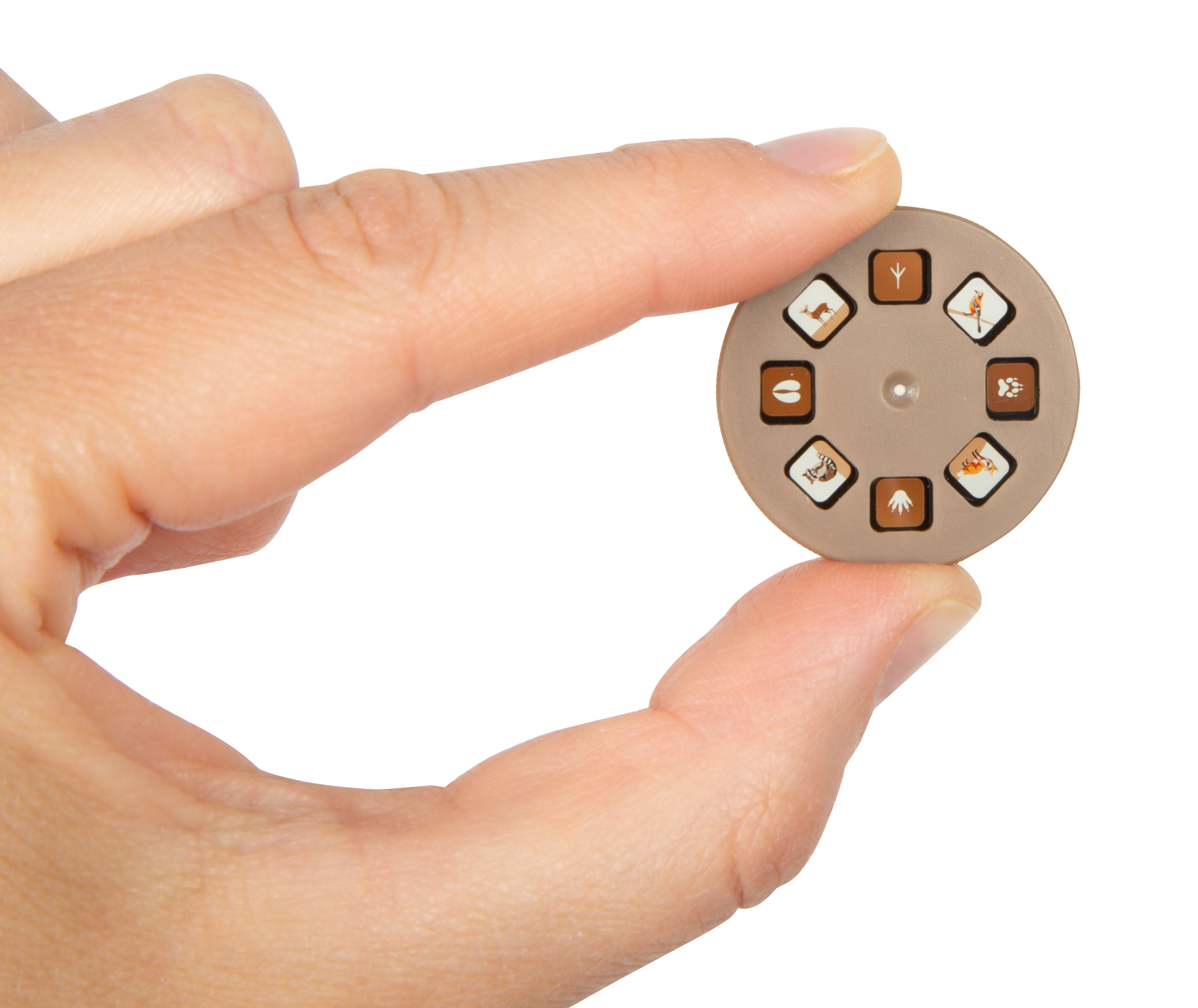 Einlegescheibe Filmrad Tiere und Spuren