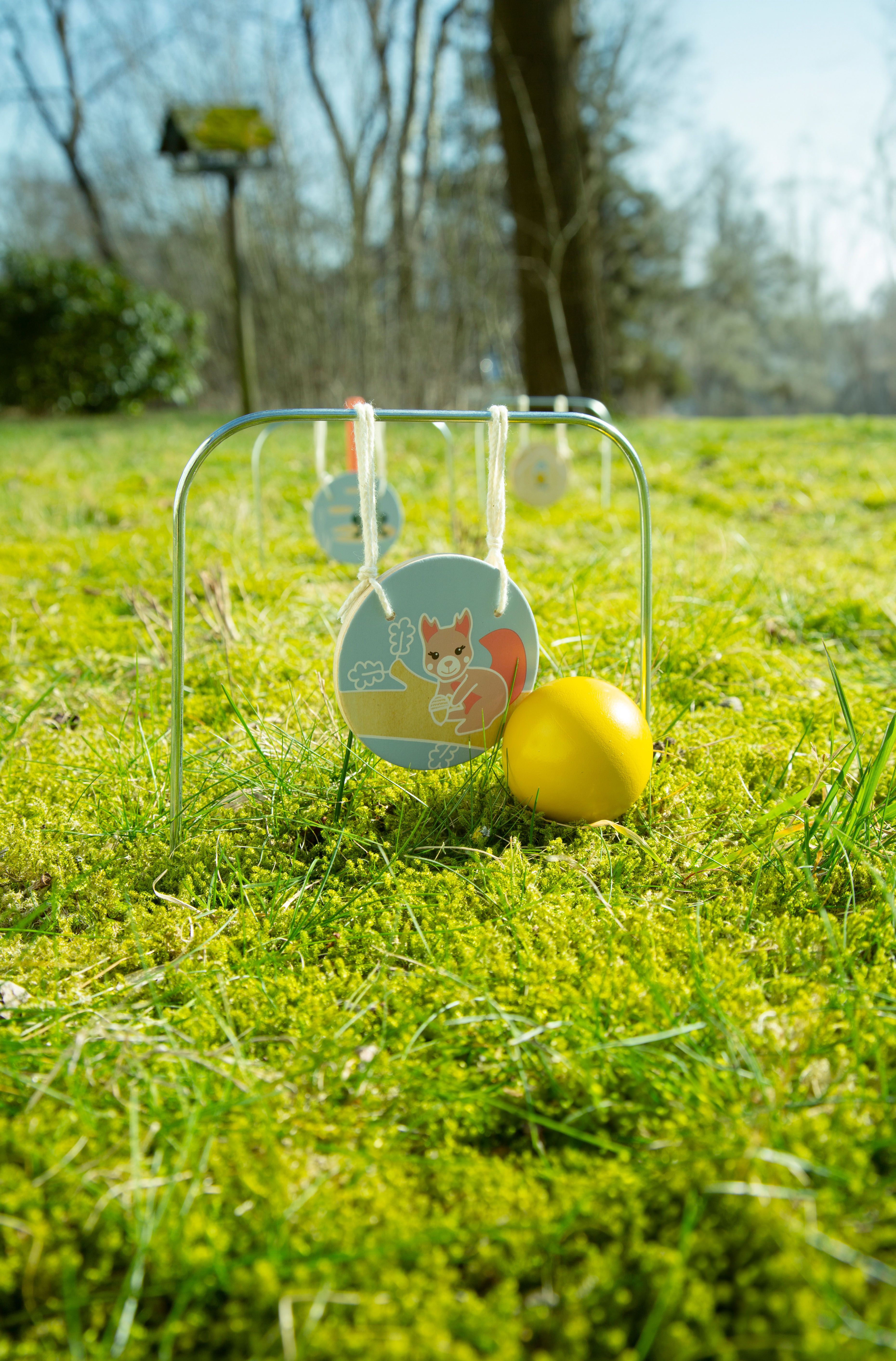 Gras, Pflanze, Grünland, Sphäre, Krokett