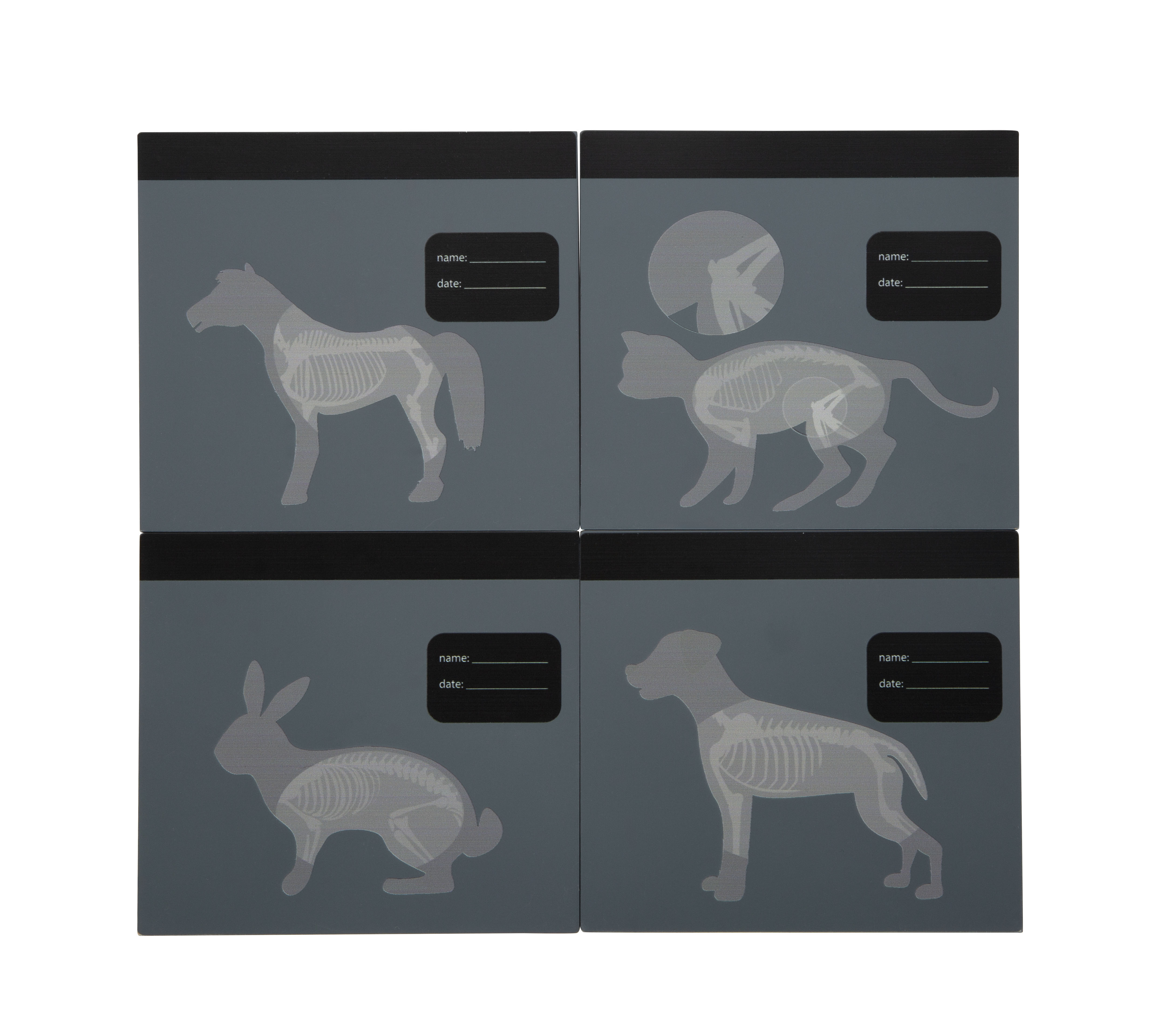 Röntgenbilder: Pferd, Katze, Hase, Hund