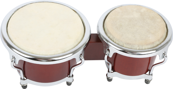 Children's Bongo Drums