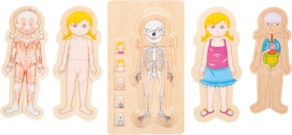Schichtenpuzzle Anatomie Mädchen