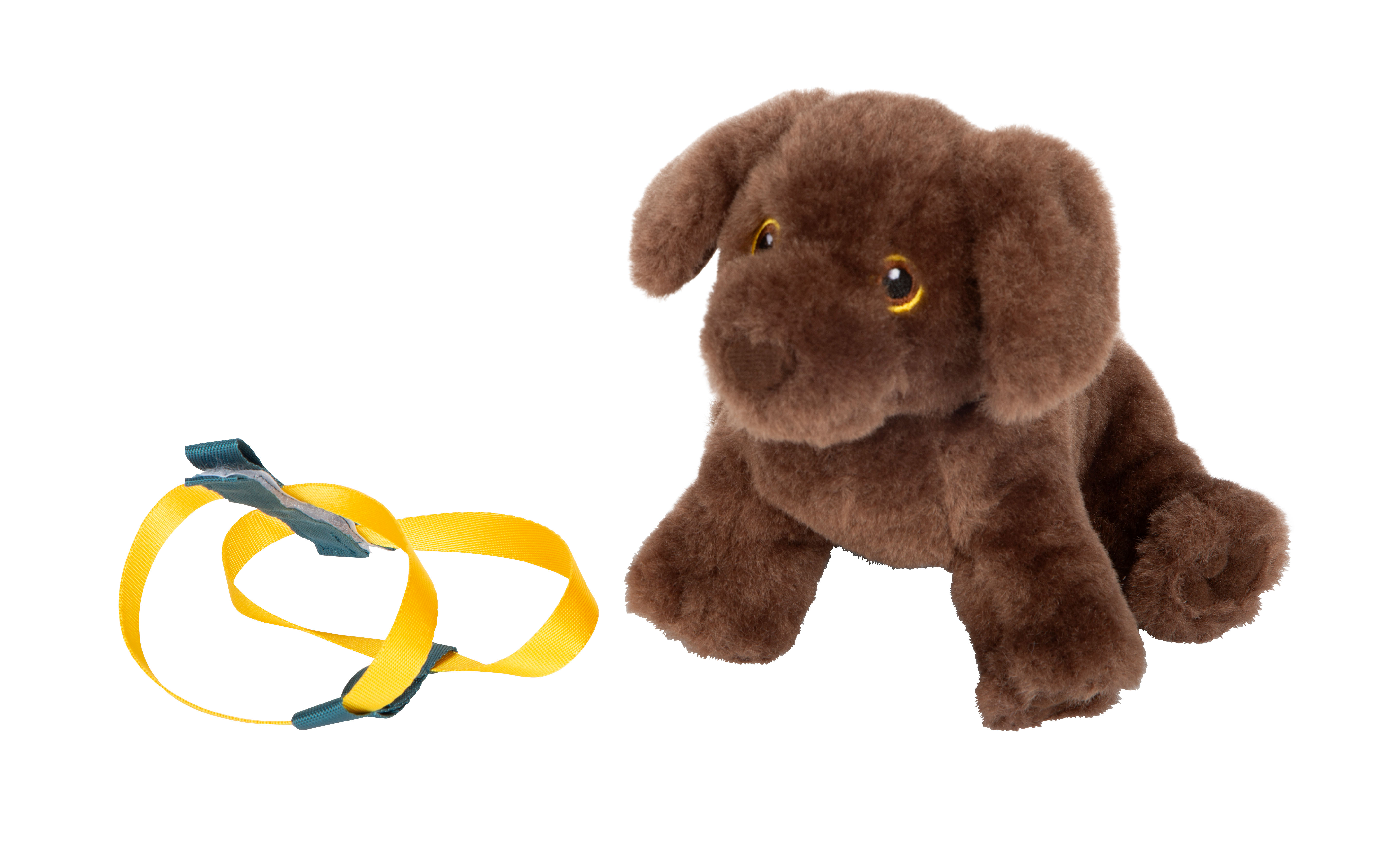 Hund mit Tasche und Pflegeset mit Hund Labrador Halfter abnehmbar