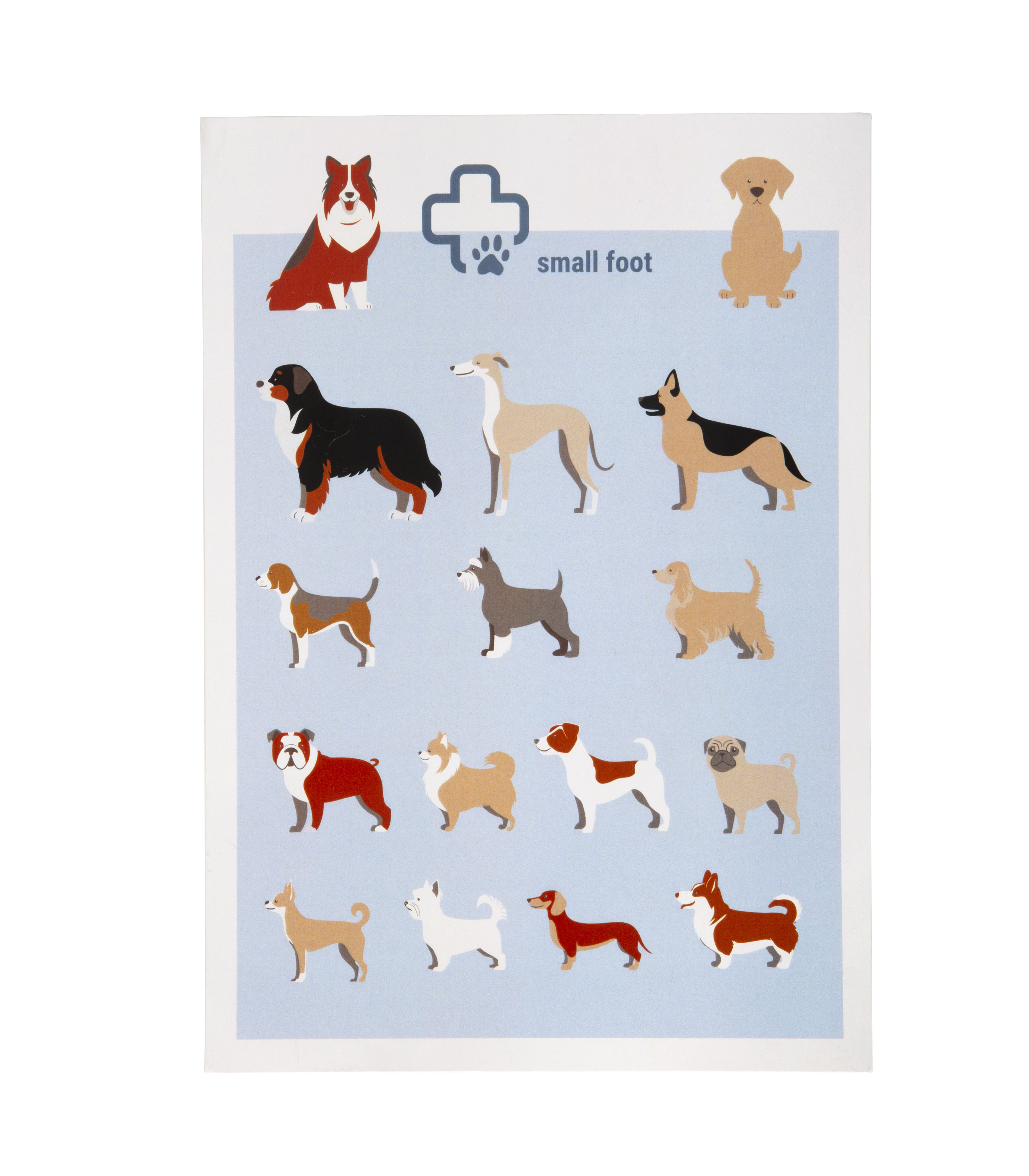 Poster mit Hunderassen