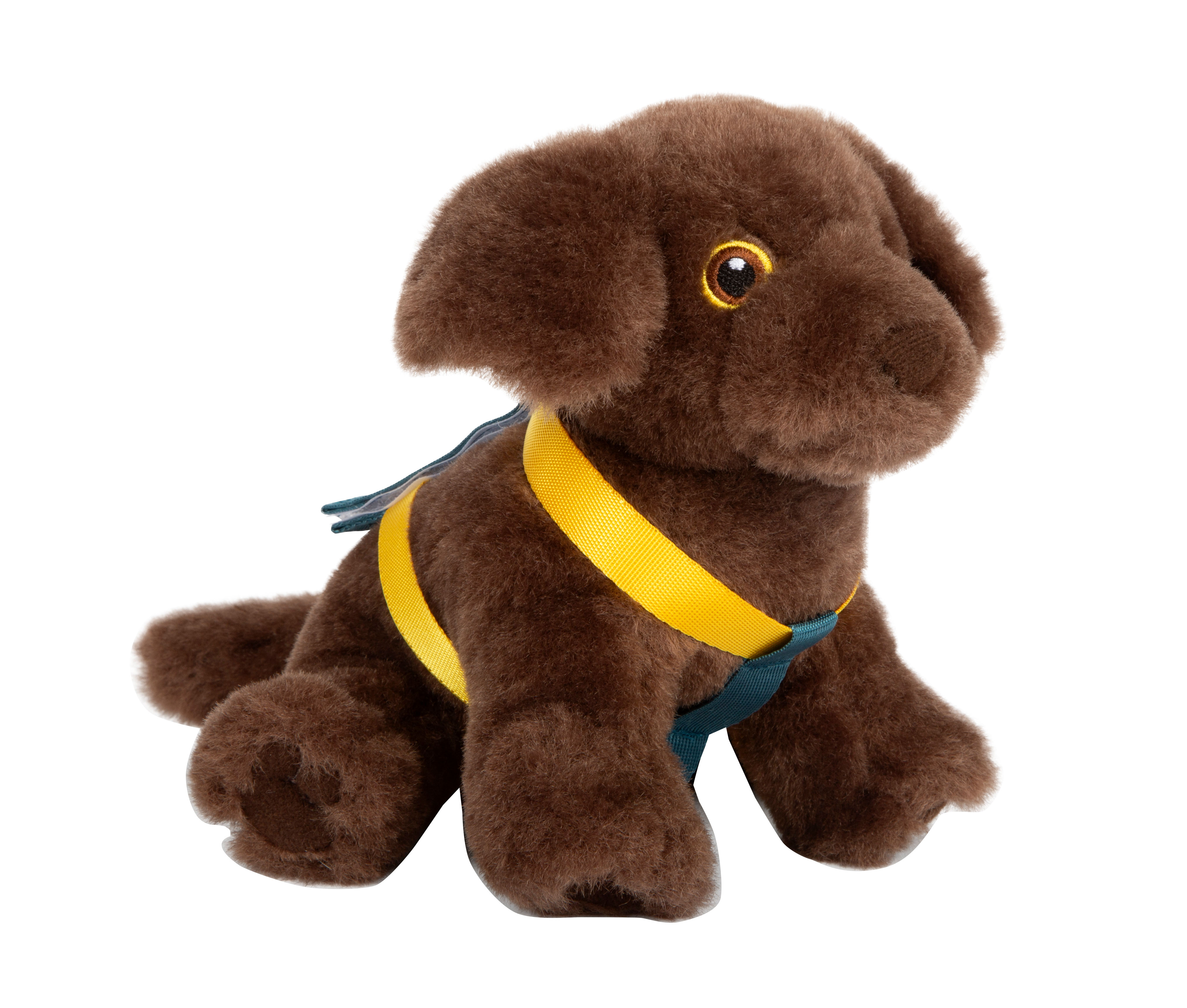 Hund mit Tasche und Pflegeset mit Hund Labrador mit Halfter