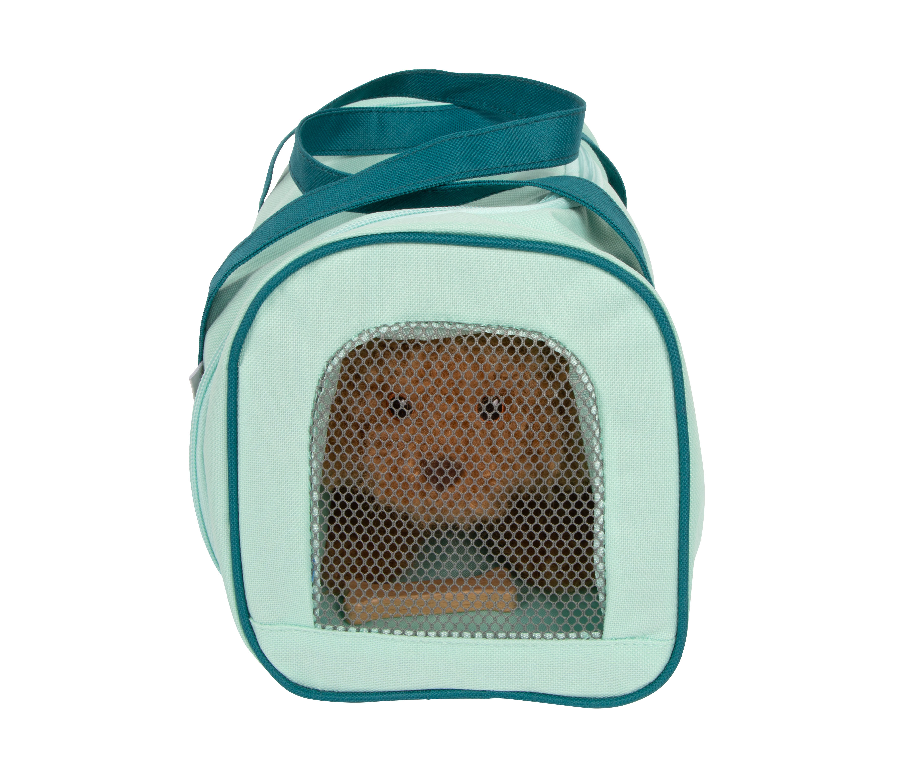 Tierarzt-Tasche mit Hund und Zubehör und Tragetasche