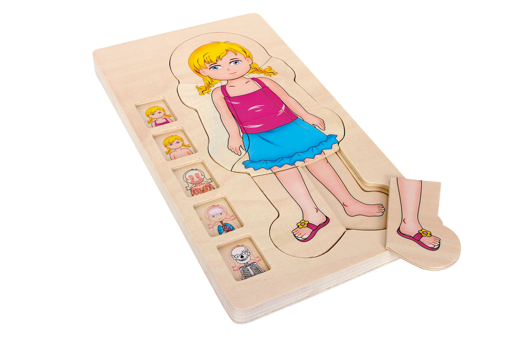 Schichtenpuzzle Anatomie Mädchen für Kinder
