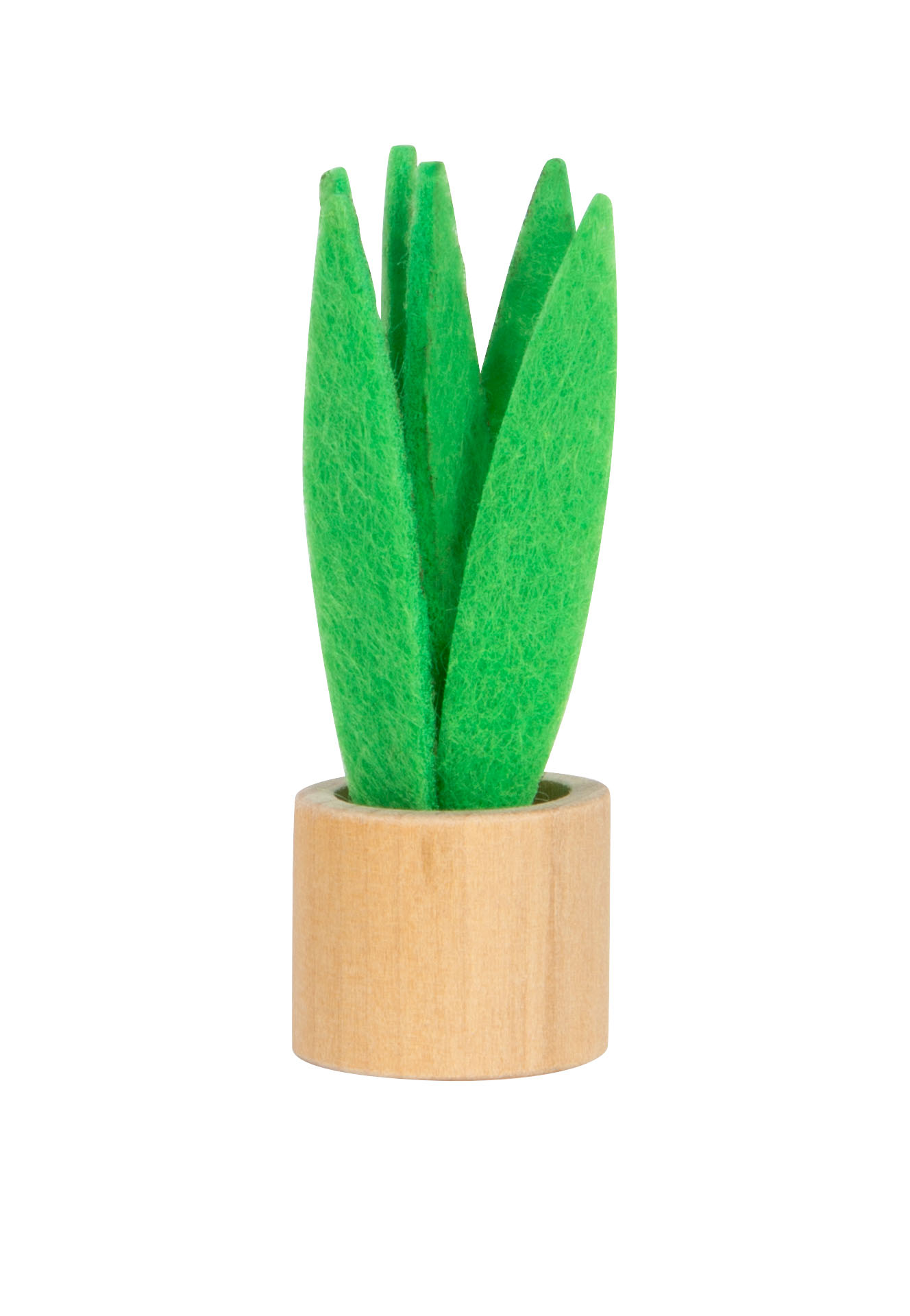 Kleine Zimmerpflanze fürs Puppenhaus