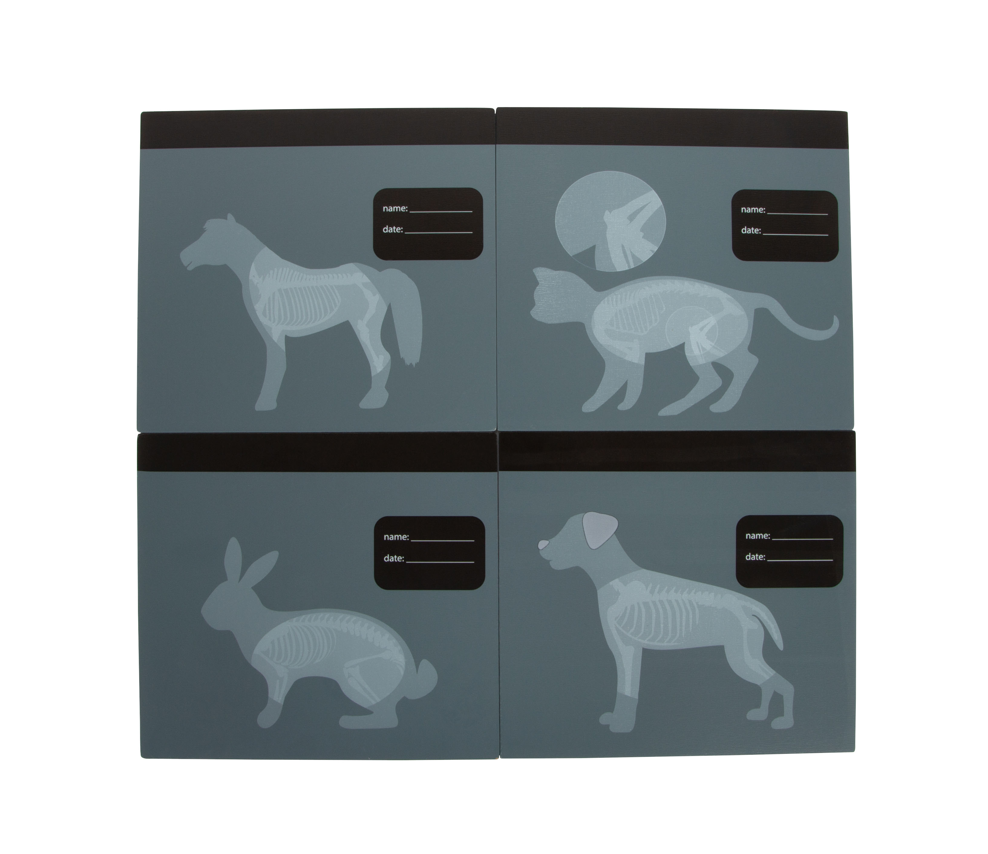 Tierarzt-Tasche mit Röntgenbildern von Pferd, Katze, Hase und Hund