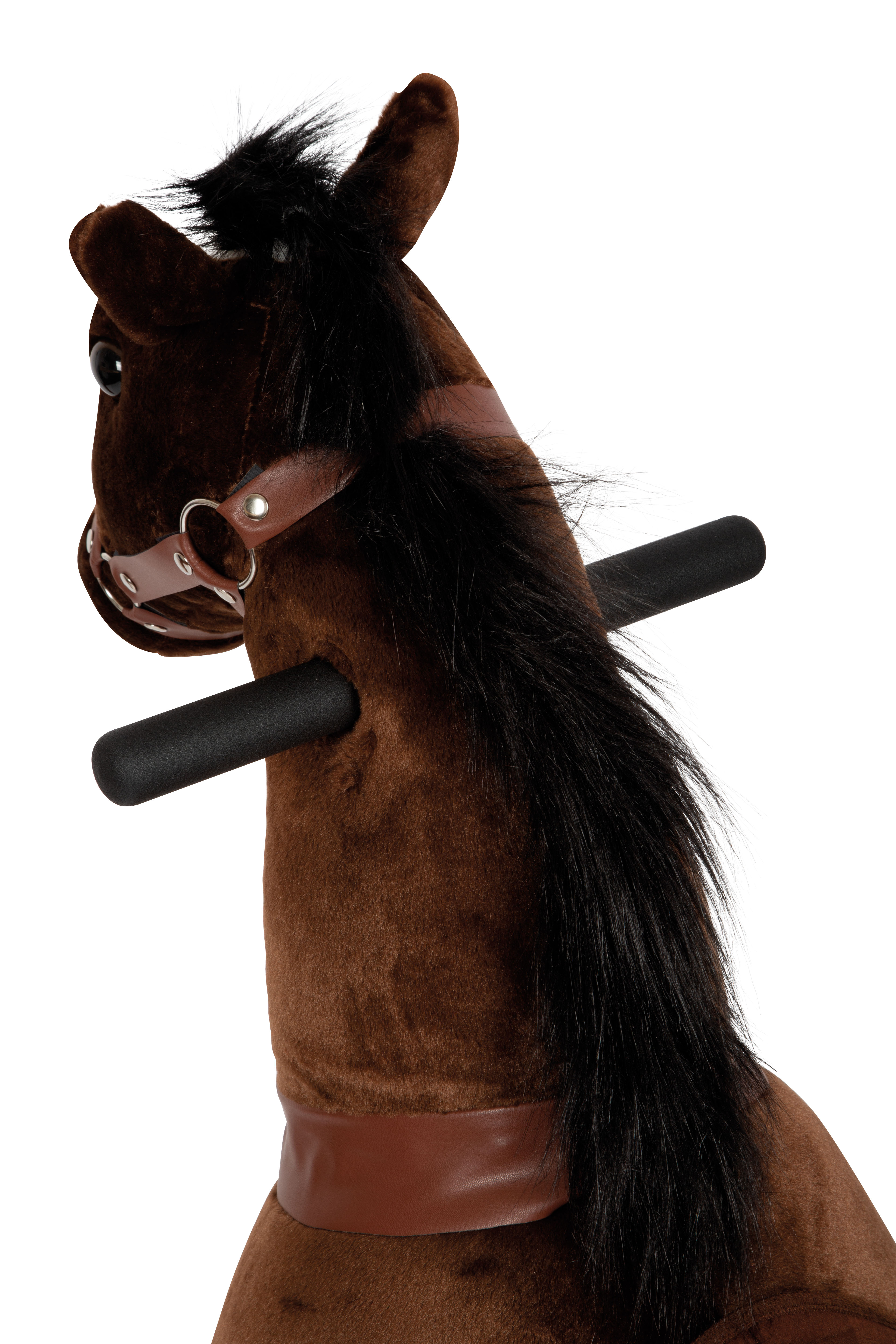 Kopf von einem Reitpferd mit Handgriffen am Hals