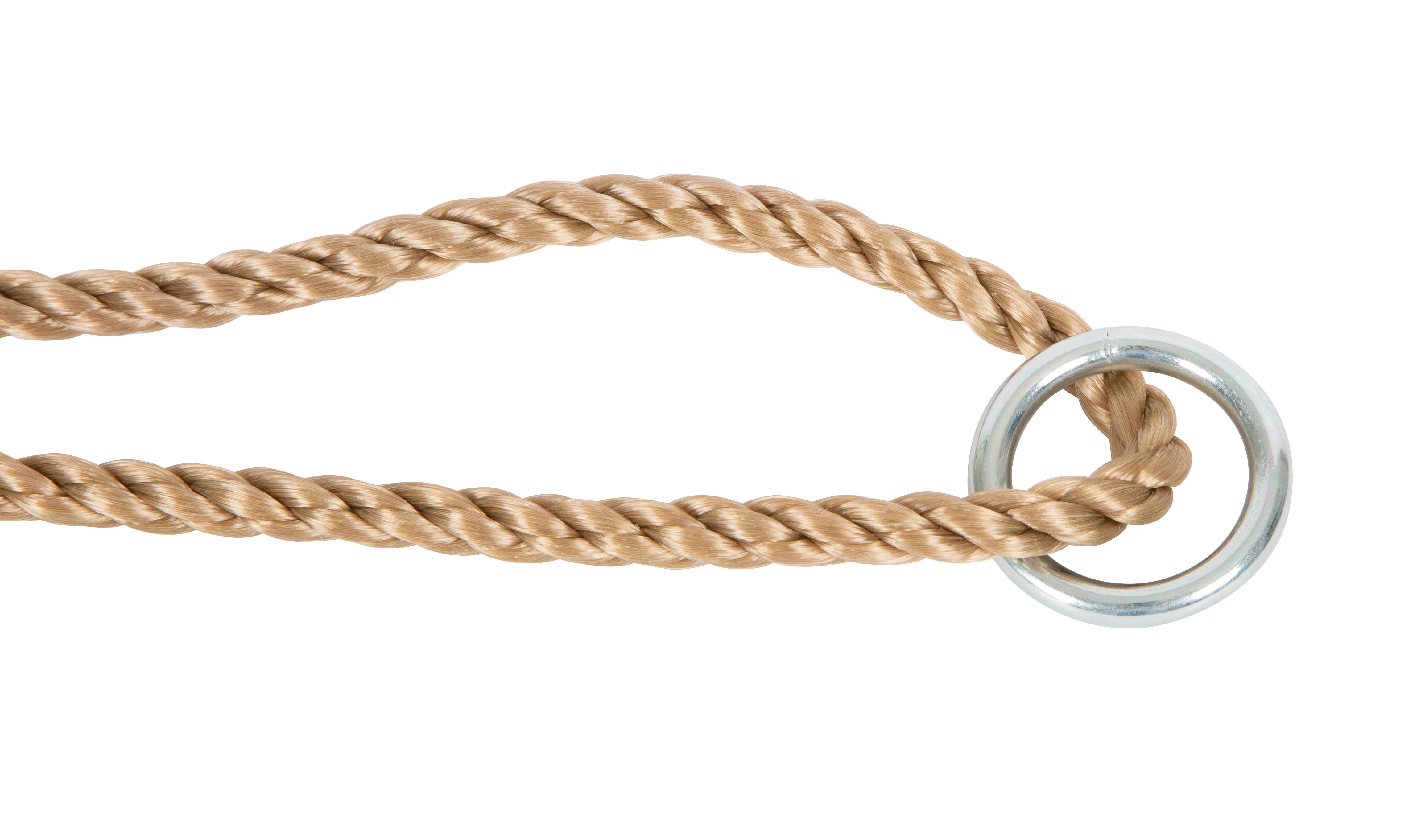 Tellerschaukel für Kinder